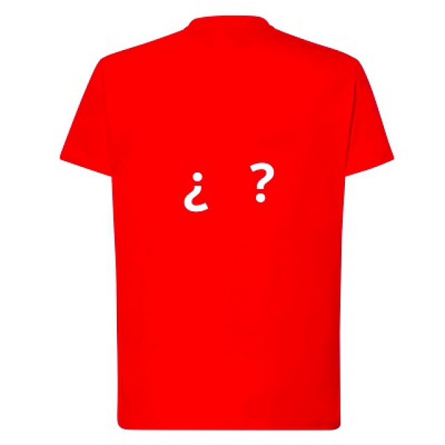 camiseta-fin-de-gira-roja-espalda5
